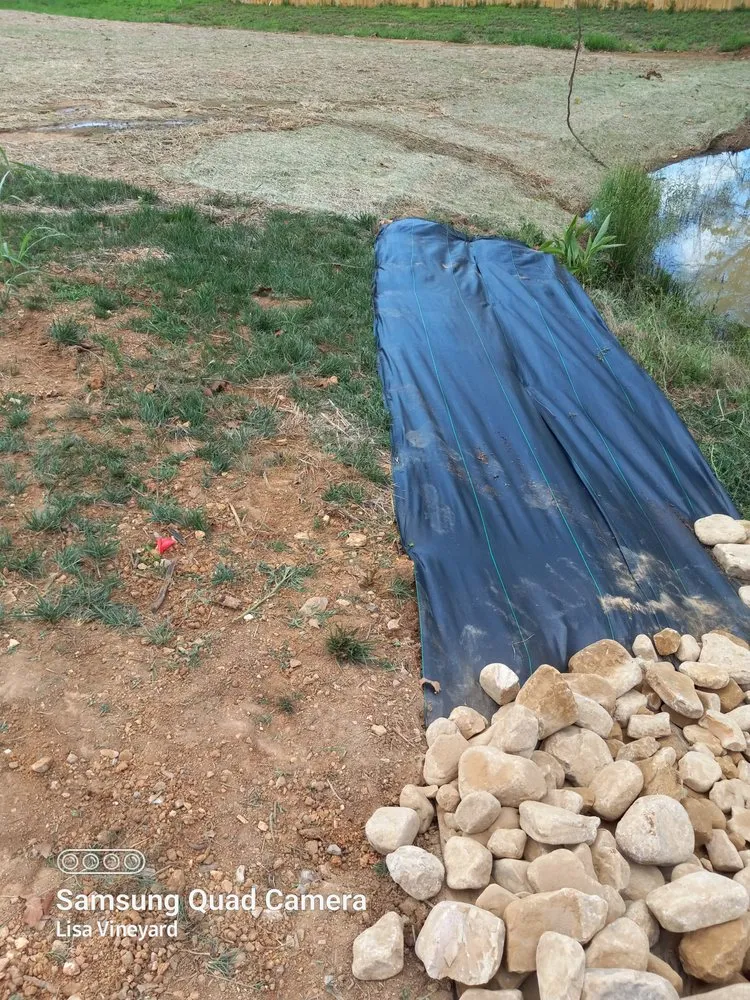 Affordable outdoor landscaping experts serving Knoxville, TN - Vineyard's Landscaping