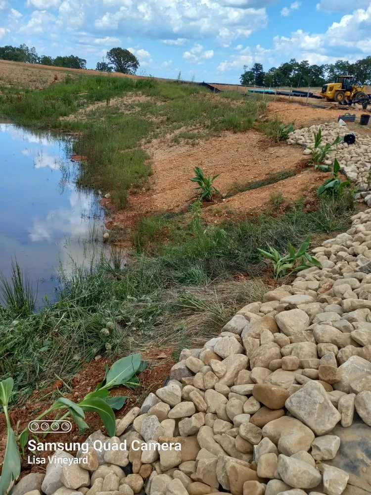 Top-rated landscaping services for beautiful yards in Knoxville, TN by Vineyard's Landscaping