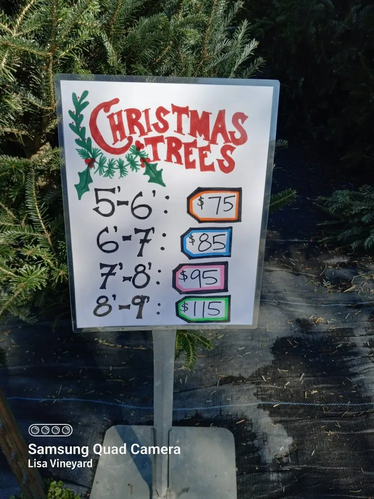 Custom outdoor landscaping in Knoxville, TN by Vineyard's Landscaping