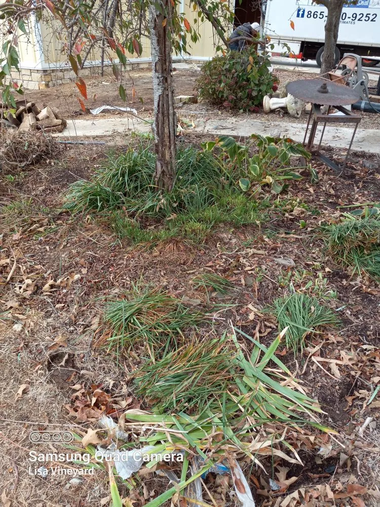 Top-rated landscape installation in Knoxville, TN - Vineyard's Landscaping