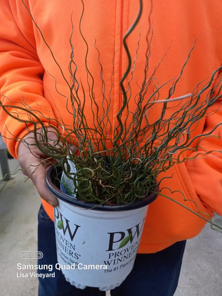 Trusted outdoor landscaping in Knoxville, TN by Vineyard's Landscaping