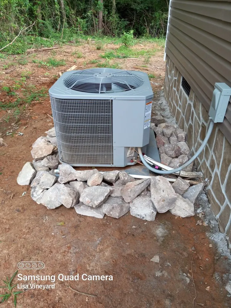 Local yard cleanup service for year-round maintenance across Knoxville, TN - Vineyard's Landscaping