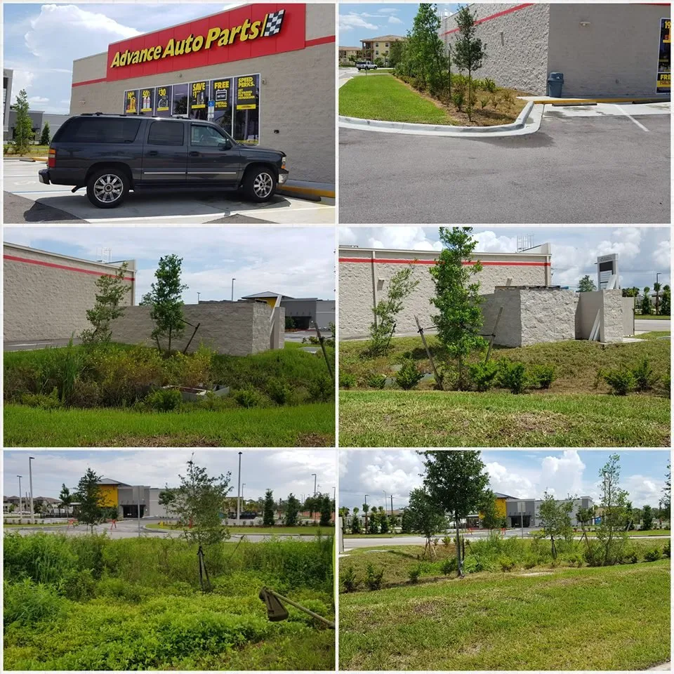 Expert yard cleanup service in Naples, FL by Vineyards Landscaping