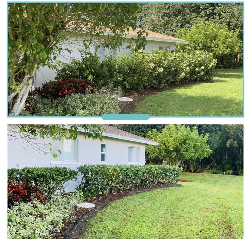 Local landscape installation for year-round maintenance across Naples, FL - Vineyards Landscaping