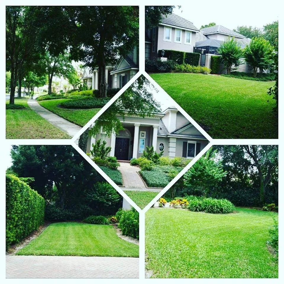 Reliable outdoor landscaping in Naples, FL - Vineyards Landscaping