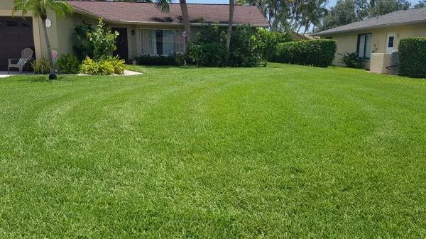 Professional outdoor landscaping with custom design in Naples, FL by Vineyards Landscaping