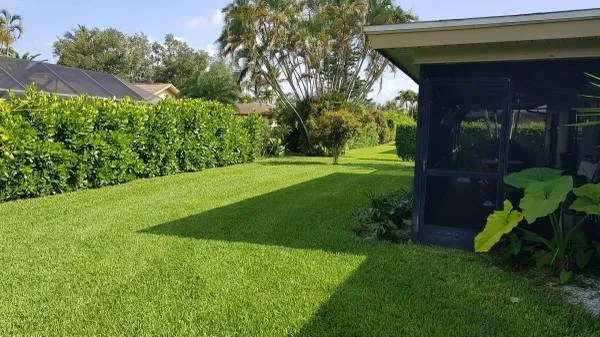Top-rated lawn mowing service in Naples, FL by Vineyards Landscaping