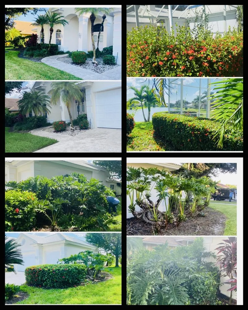 Affordable outdoor landscaping in Naples, FL - Vineyards Landscaping
