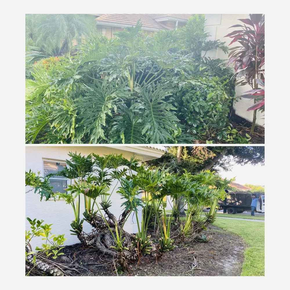 Reliable lawn care service for outdoor upgrades across Naples, FL - Vineyards Landscaping