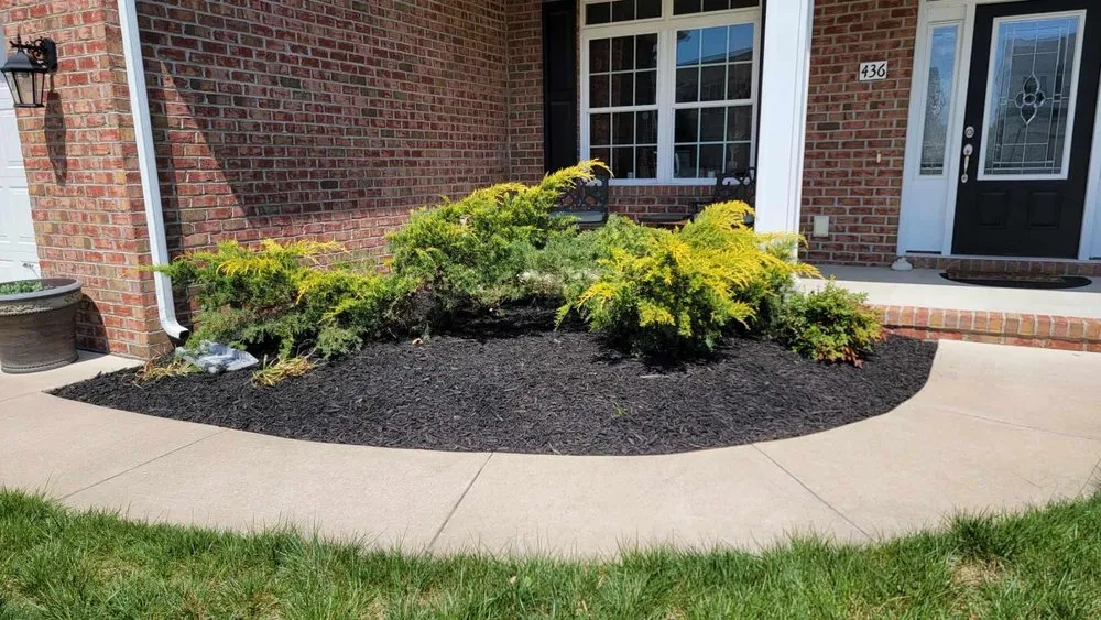 Top-rated lawn mowing service in San Marcos, CA by Vinland Landscape