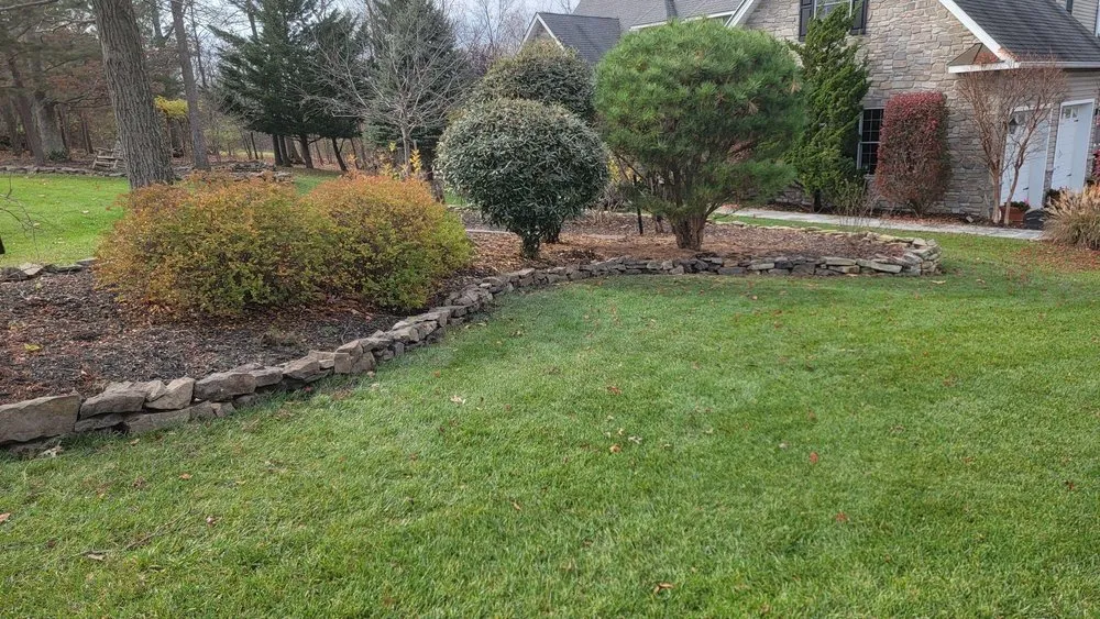 Local garden landscaping for homes across San Marcos, CA - Vinland Landscape