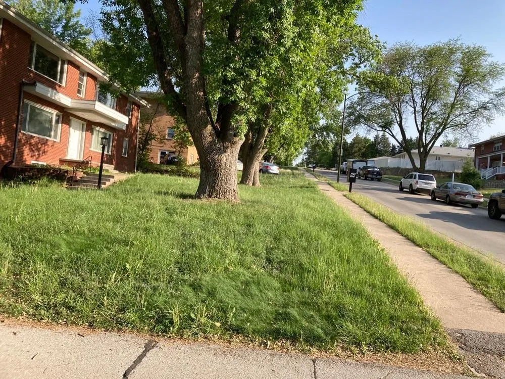 Affordable residential landscaping in San Marcos, CA - Vinland Landscape