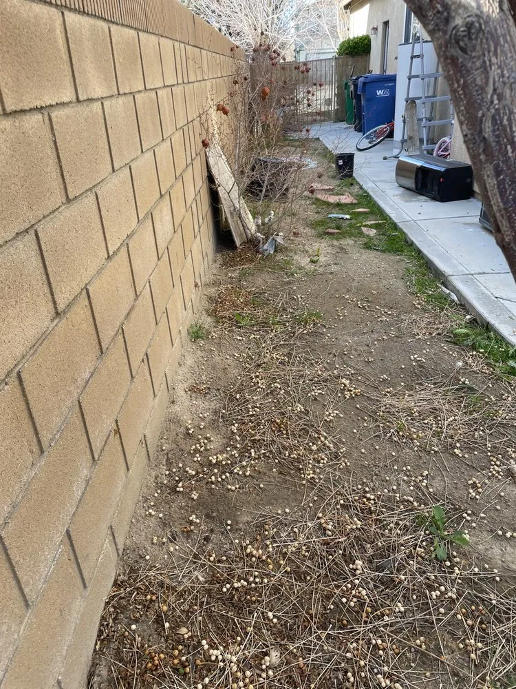 Professional lawn care service experts serving Lancaster, CA - Vinland Mowing