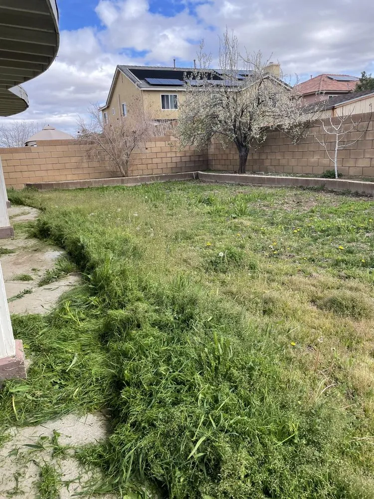 Local residential landscaping experts serving Lancaster, CA - Vinland Mowing