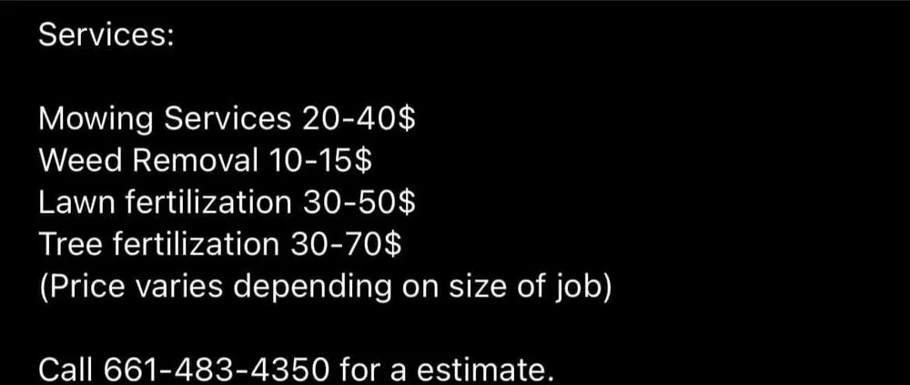 Affordable landscaping services for beautiful yards in Lancaster, CA by Vinland Mowing