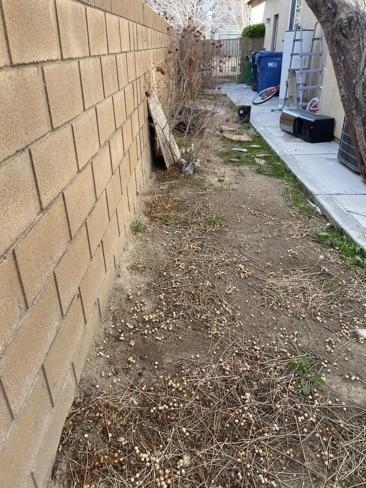 Top-rated landscaping services for residential properties in Lancaster, CA by Vinland Mowing