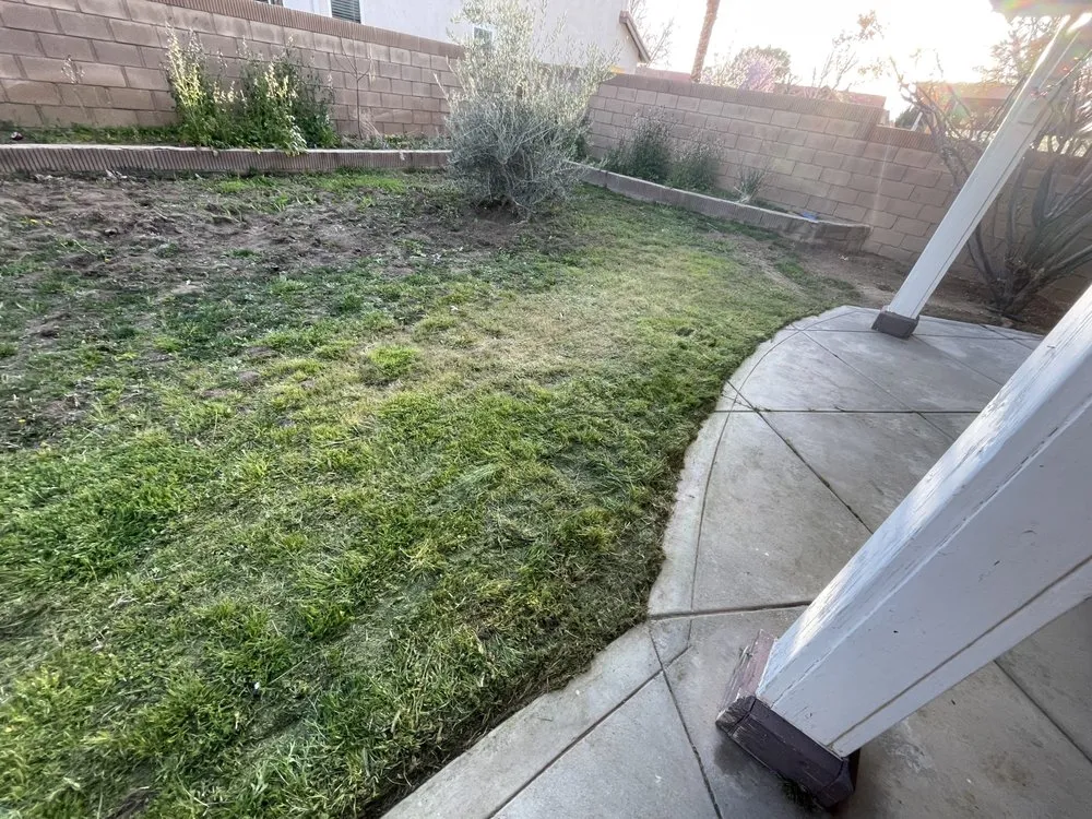 Top-rated landscaping services in Lancaster, CA by Vinland Mowing
