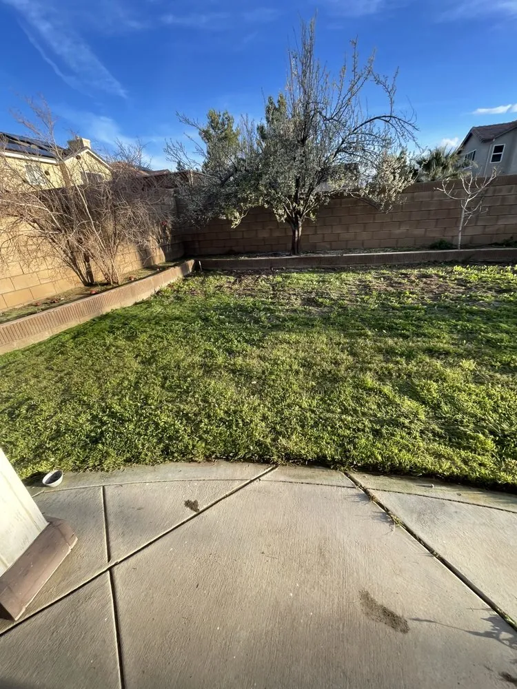 Expert landscape design in Lancaster, CA by Vinland Mowing