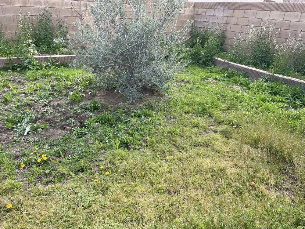 Reliable garden landscaping in Lancaster, CA by Vinland Mowing