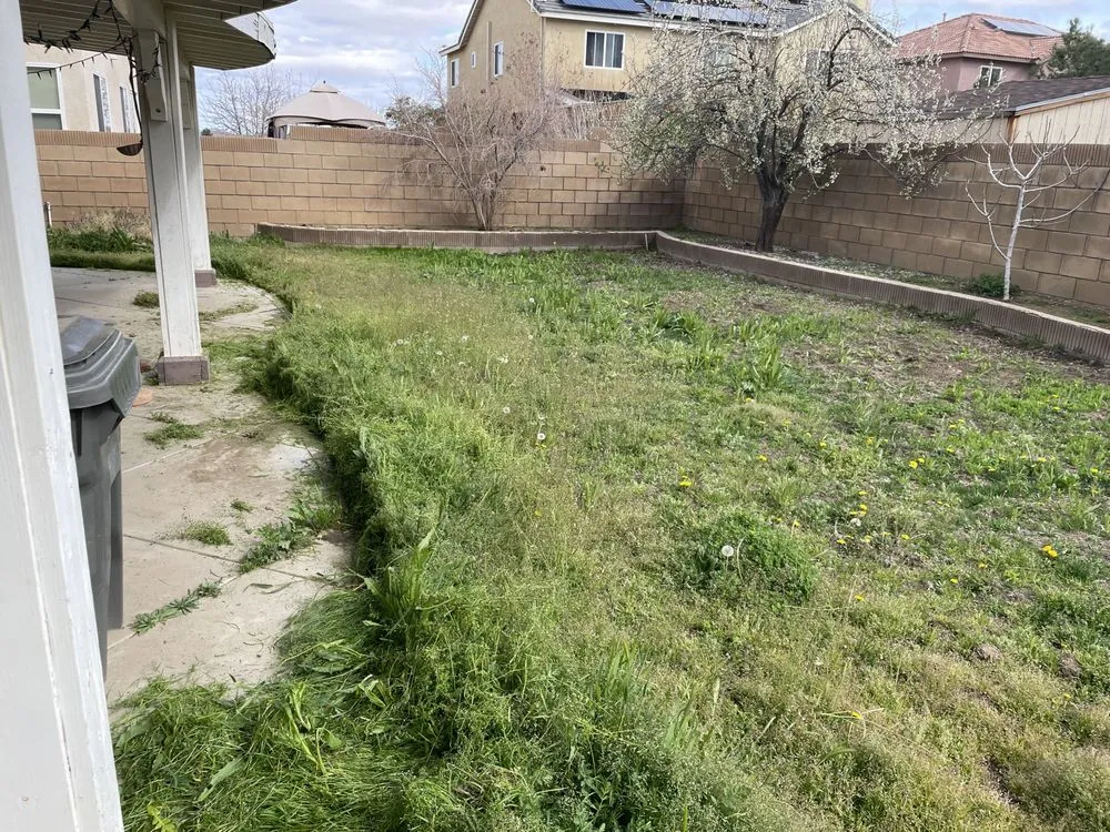 Expert residential landscaping in Lancaster, CA - Vinland Mowing