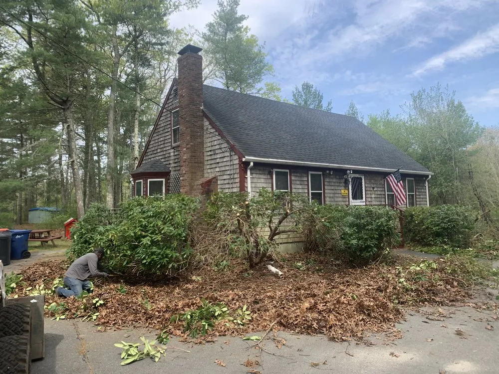 Professional landscaping services in Raynham, MA by Vinny & Campos Landscaping