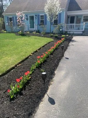 Vinny & Campos Landscaping Logo