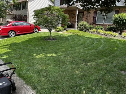 Vinny’s First Class Grass Logo