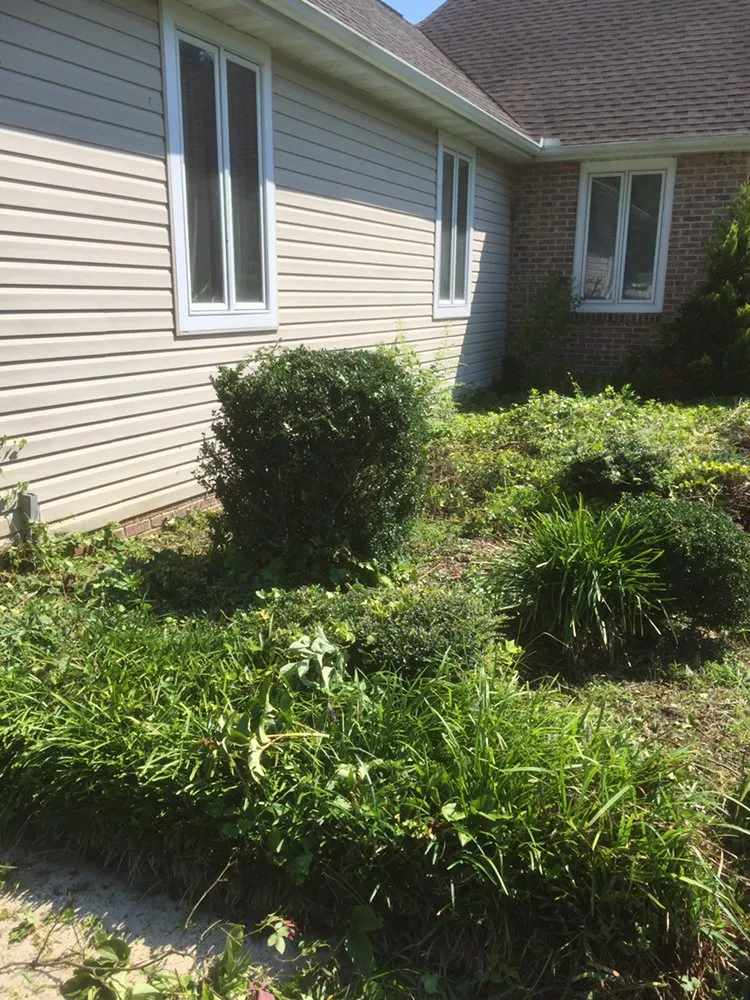 Local yard maintenance for year-round maintenance across Milford, DE - Vinny's Handyman Services