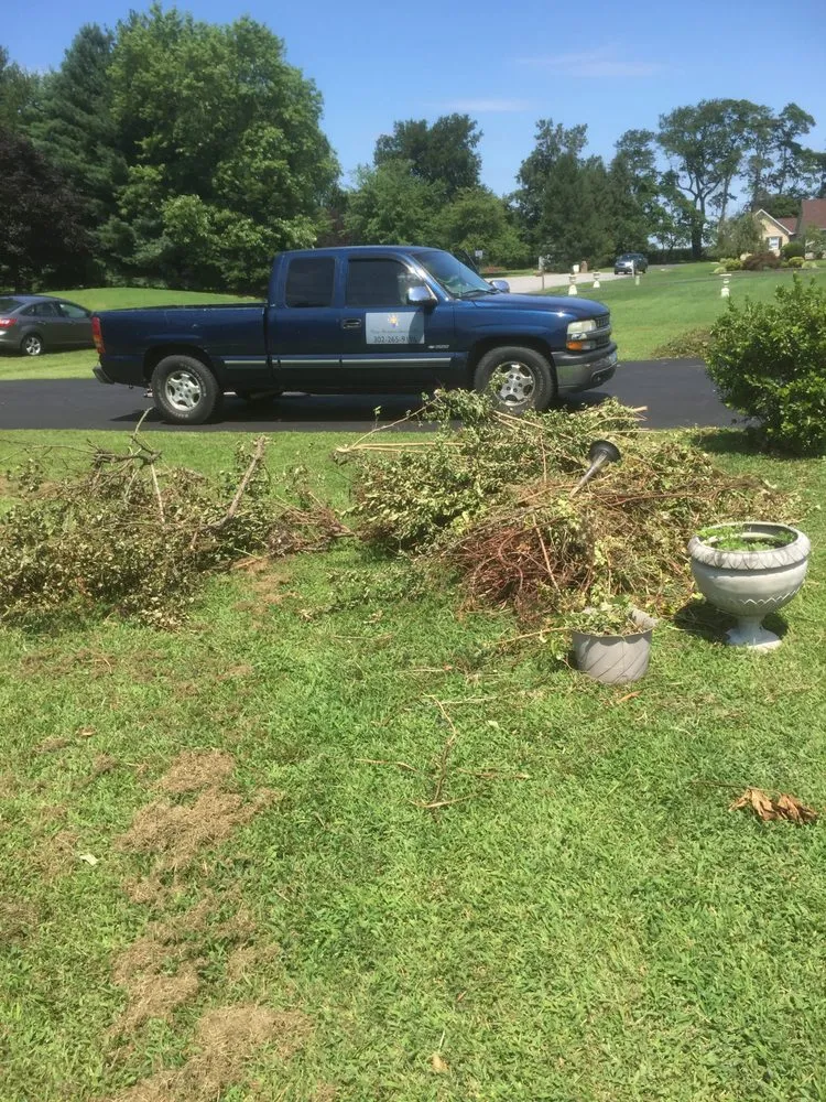 Custom lawn care service in Milford, DE by Vinny's Handyman Services