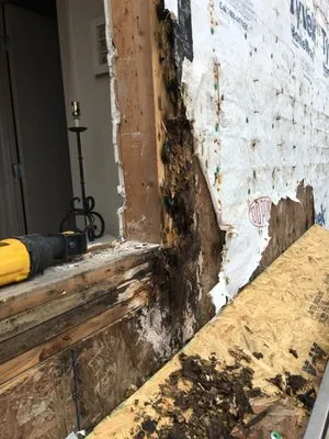 Vinny's Handyman Services