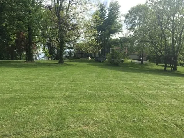 Professional yard cleanup service in Gladwyne, PA by Vinny's Landscaping
