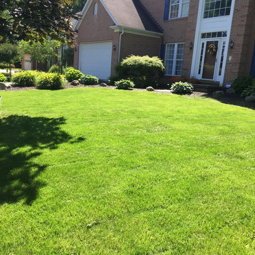 Trusted yard cleanup service experts serving Pittsburgh, PA - Vinny’s Lawn & Landscaping