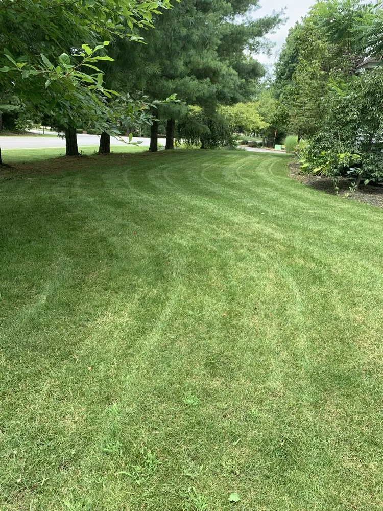 Affordable outdoor landscaping for outdoor upgrades across Pittsburgh, PA - Vinny’s Lawn & Landscaping