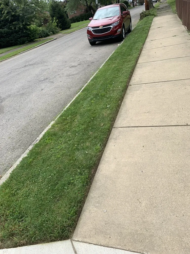 Top-rated yard cleanup service in Pittsburgh, PA by Vinny’s Lawn & Landscaping