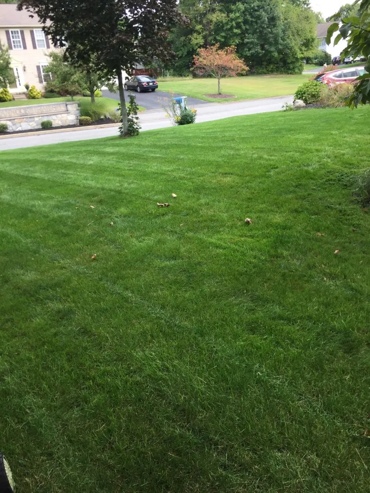 Affordable lawn mowing service in Pittsburgh, PA - Vinny’s Lawn & Landscaping