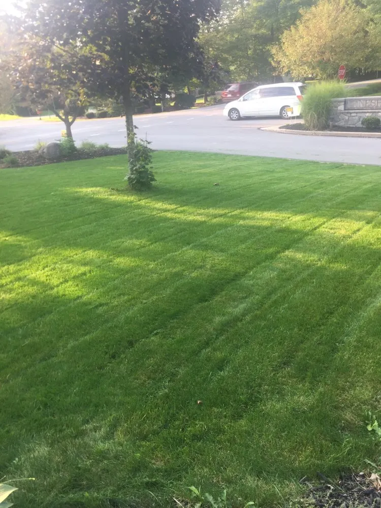 Professional yard cleanup service in Pittsburgh, PA by Vinny’s Lawn & Landscaping