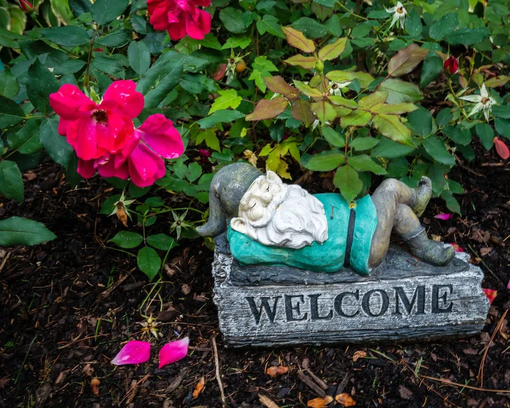 Expert yard cleanup service in Ferndale, MI - Vinsetta Gardens