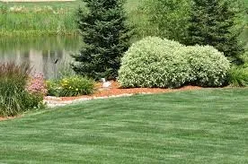 Vinson Landscaping & Maintenance