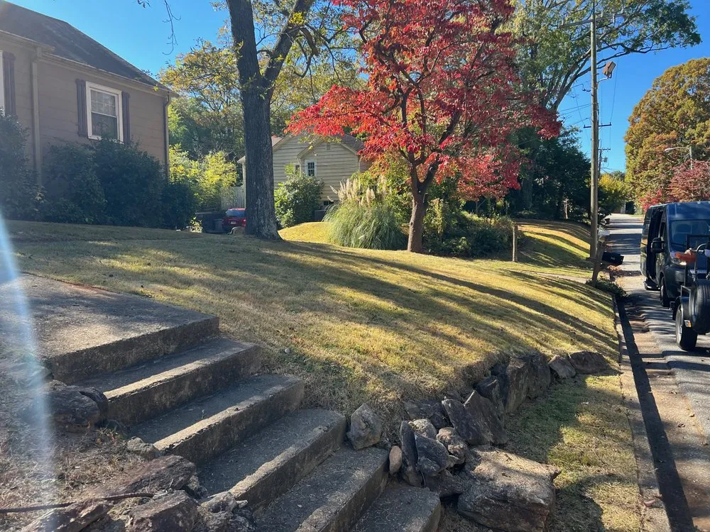 Reliable yard cleanup service experts serving Fountain Inn, SC - Vintage Lawn Care