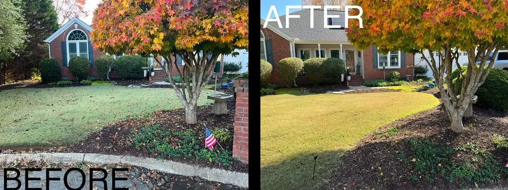 Professional residential landscaping experts serving Fountain Inn, SC - Vintage Lawn Care