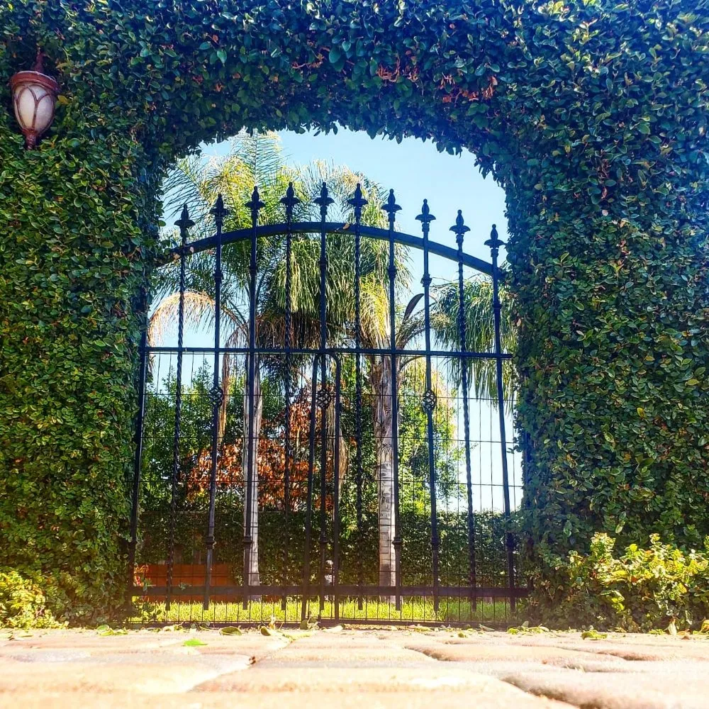 Local landscaping services in Santa Clara, CA - Vintage Lawn Service