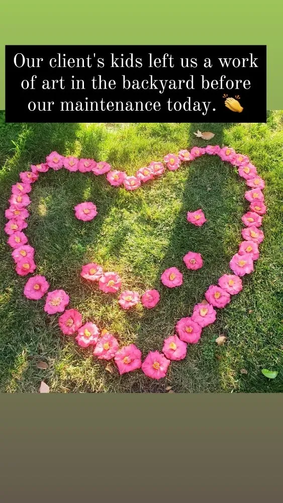 Professional landscape design in Santa Clara, CA - Vintage Lawn Service