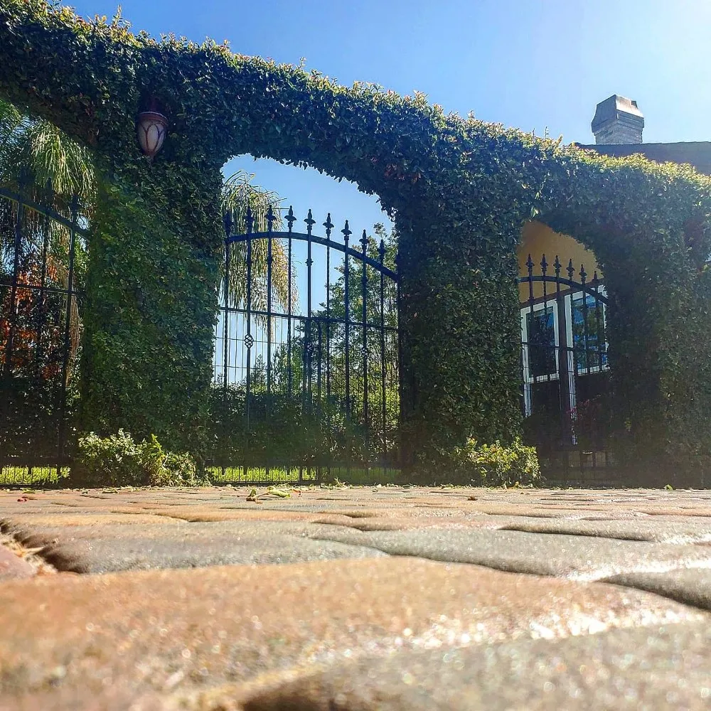 Professional landscape installation for outdoor upgrades in Santa Clara, CA by Vintage Lawn Service