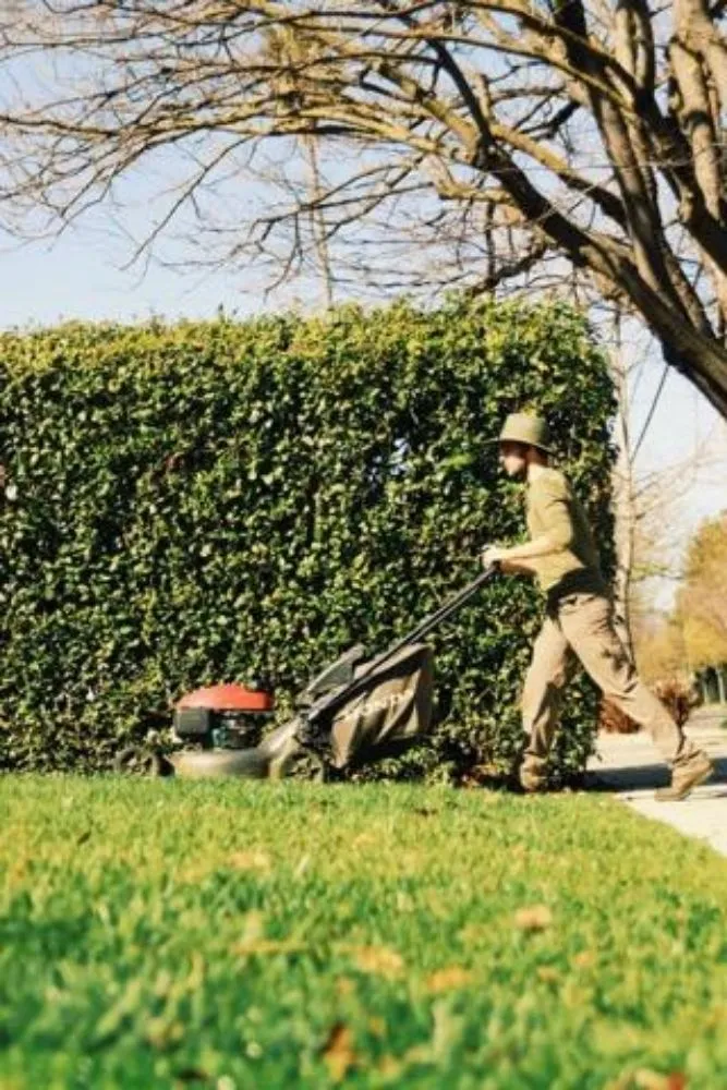 Custom garden landscaping in Santa Clara, CA - Vintage Lawn Service