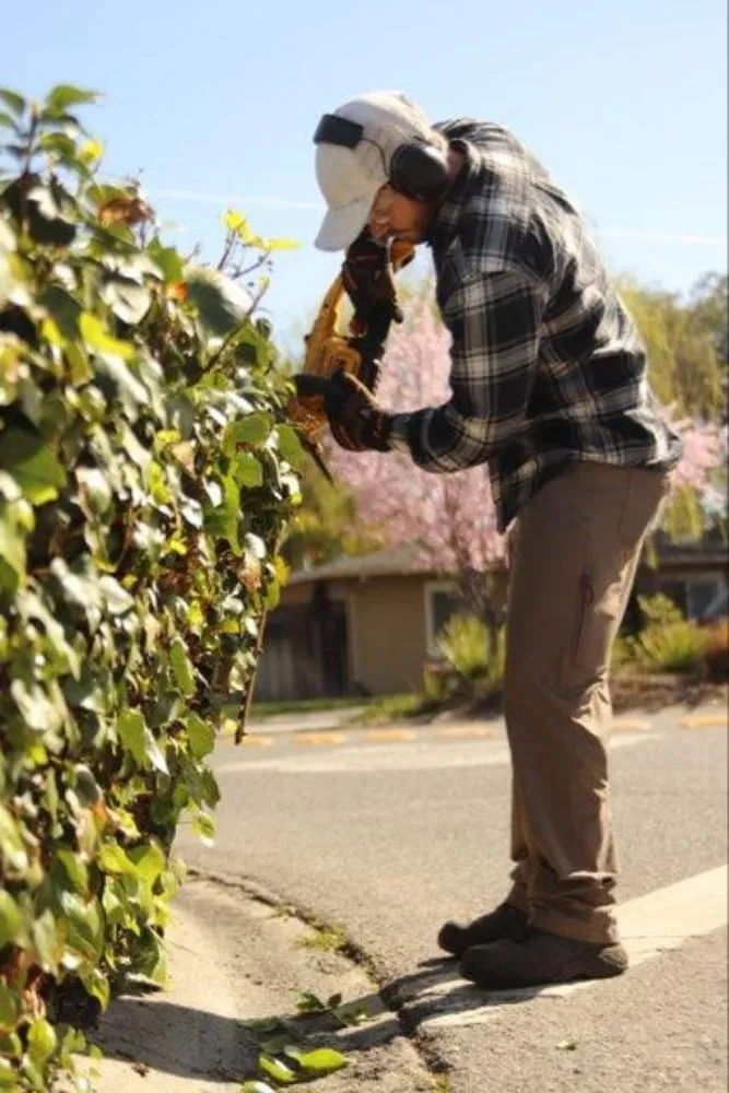 Local landscape design experts serving Santa Clara, CA - Vintage Lawn Service