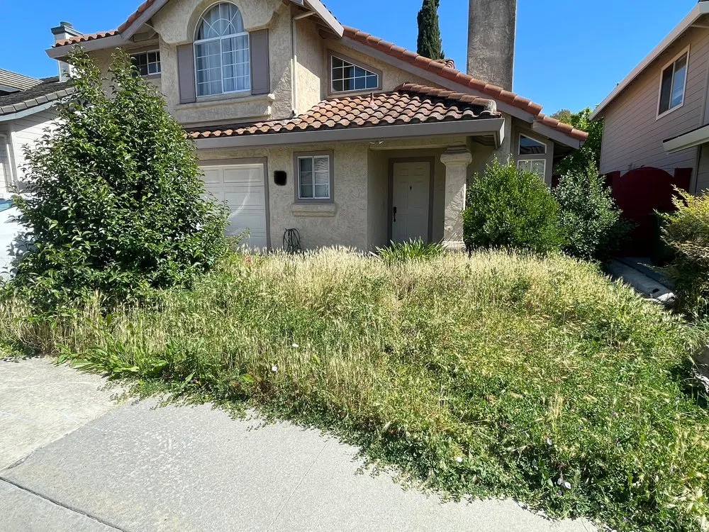 Professional landscape installation for year-round maintenance across Santa Clara, CA - Vintage Lawn Service