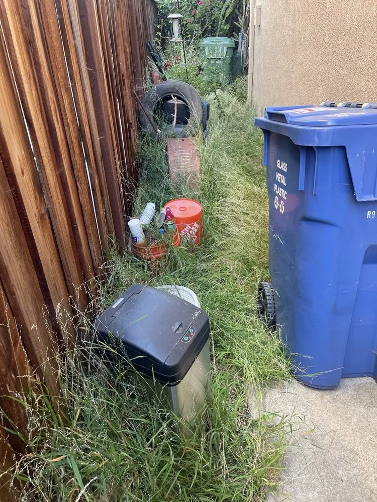 Affordable lawn mowing service for year-round maintenance across Santa Clara, CA - Vintage Lawn Service