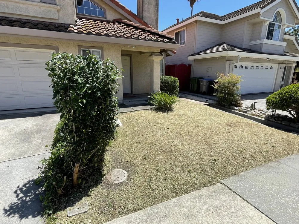 Expert residential landscaping for year-round maintenance in Santa Clara, CA by Vintage Lawn Service