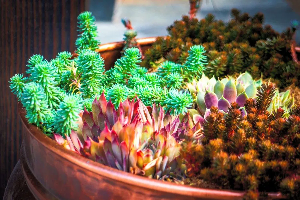 Affordable landscape installation with custom design in Leavenworth, WA by Vintage Valley