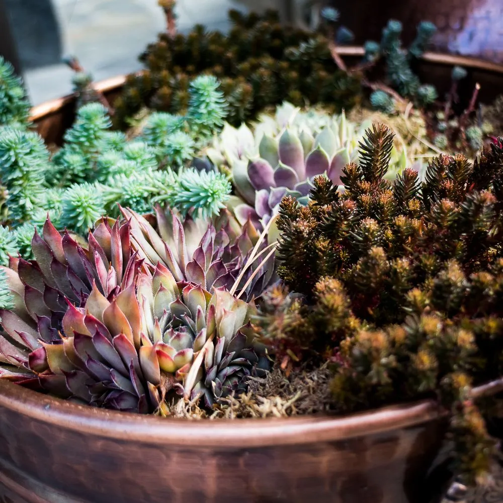 Professional landscaping services in Leavenworth, WA by Vintage Valley